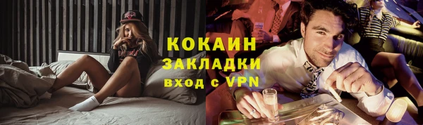 ешки Алексин
