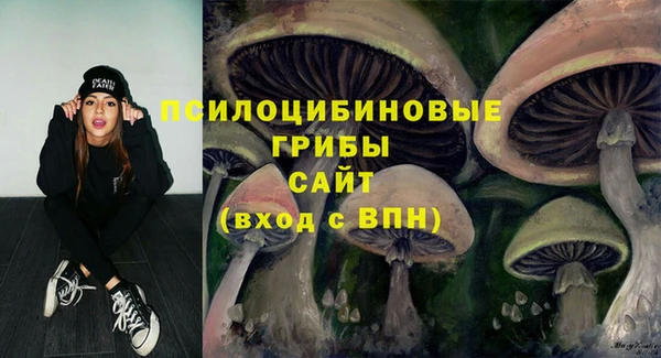 крисы Аркадак