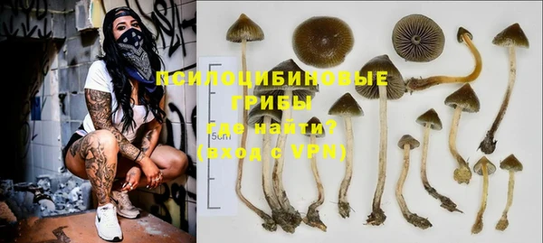 кокс Алзамай