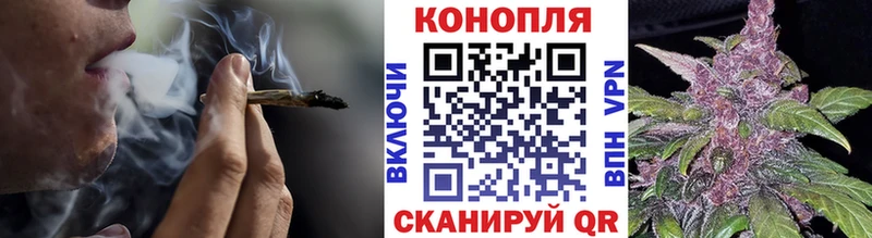 Конопля сатива  Купить закладки  Углич 